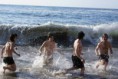 /album/bildgalleri-picture-gallery/mandohav-jpg/