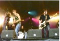 /album/bildgalleri-picture-gallery/mandouk-jpg/