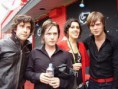 /album/bildgalleri-picture-gallery/mannndo-jpg/